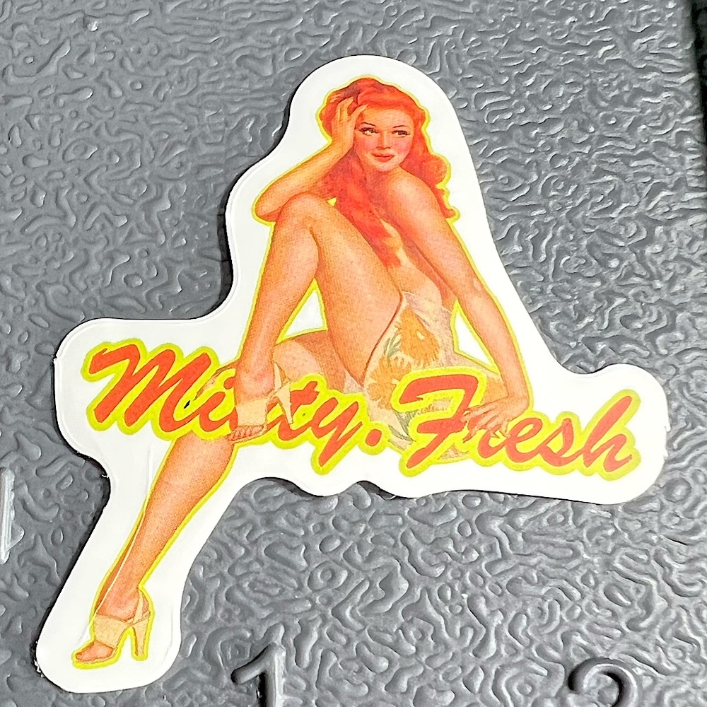 MINTY FRESH Sexy Pinup Gorgeous Sticker Retro Vintage BomberGirl Ace Pilot